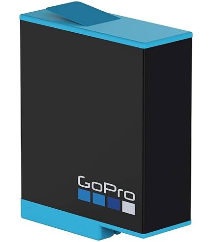 Amazon.com : GoPro AABAT-001 Camera Rechargeable Replacement